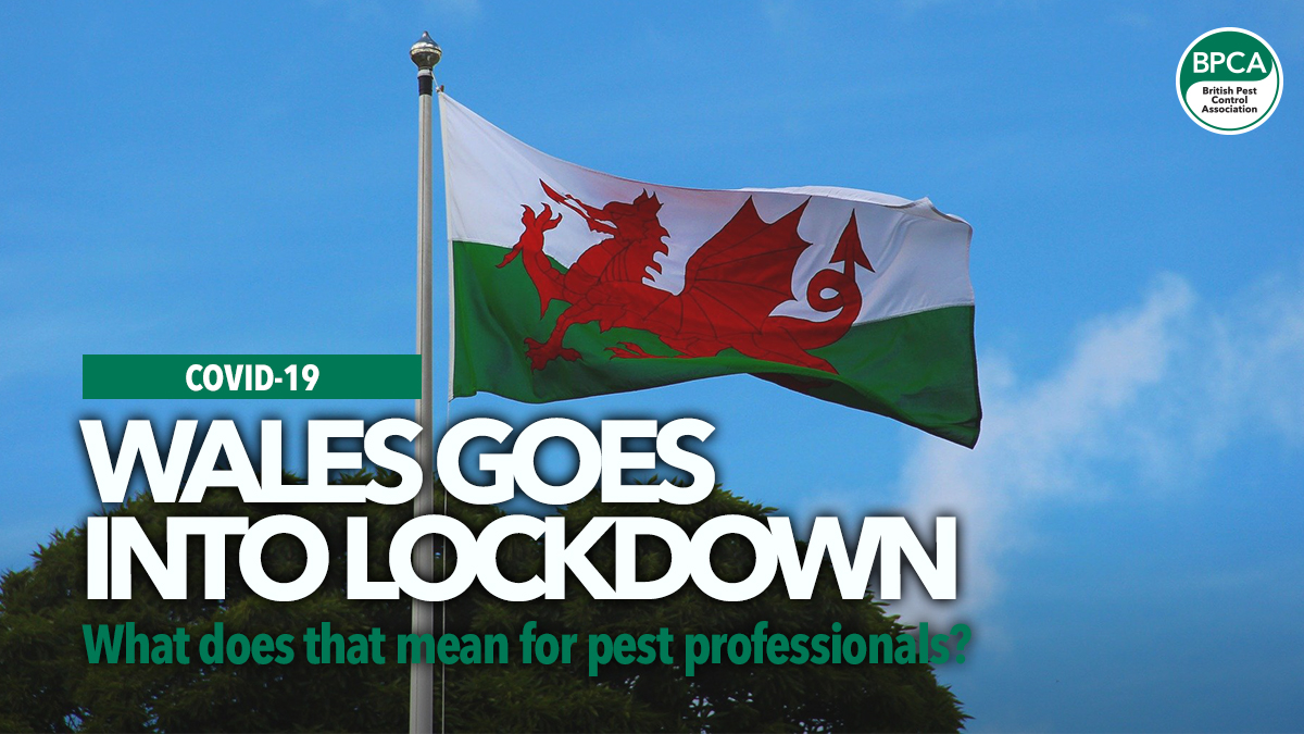 wales-lockdown-covid wales-lockdown-covid